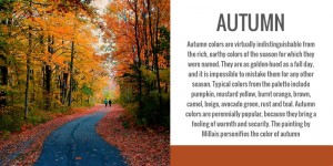 color analysis, seasonal, autumn