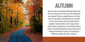 Color Analysis, seasonal, autumn