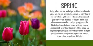 color analysis, spring, seasonal