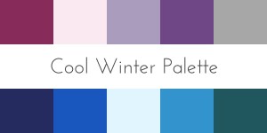 cool winter color analysis palette