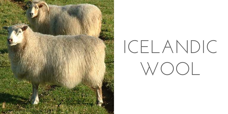fiber types icelandic wool