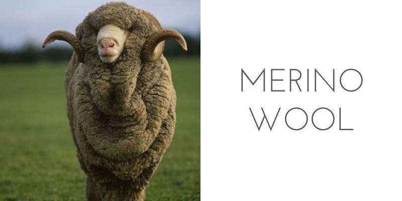 fiber types merino wool