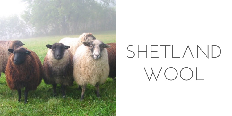 fiber types shetland wool